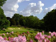 this week in golf