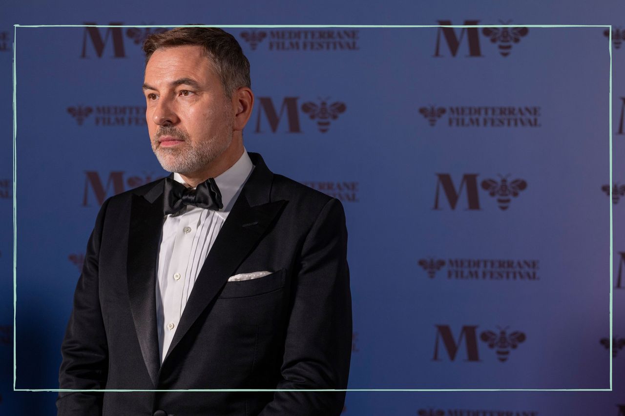 David Walliams on the red carpet at a film festival