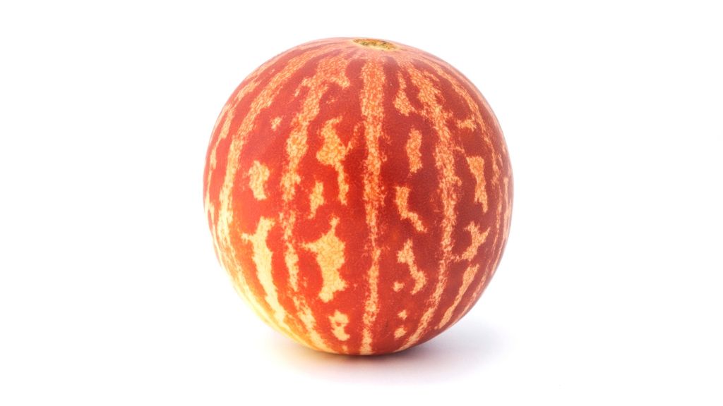 A yellow and orange striped melon