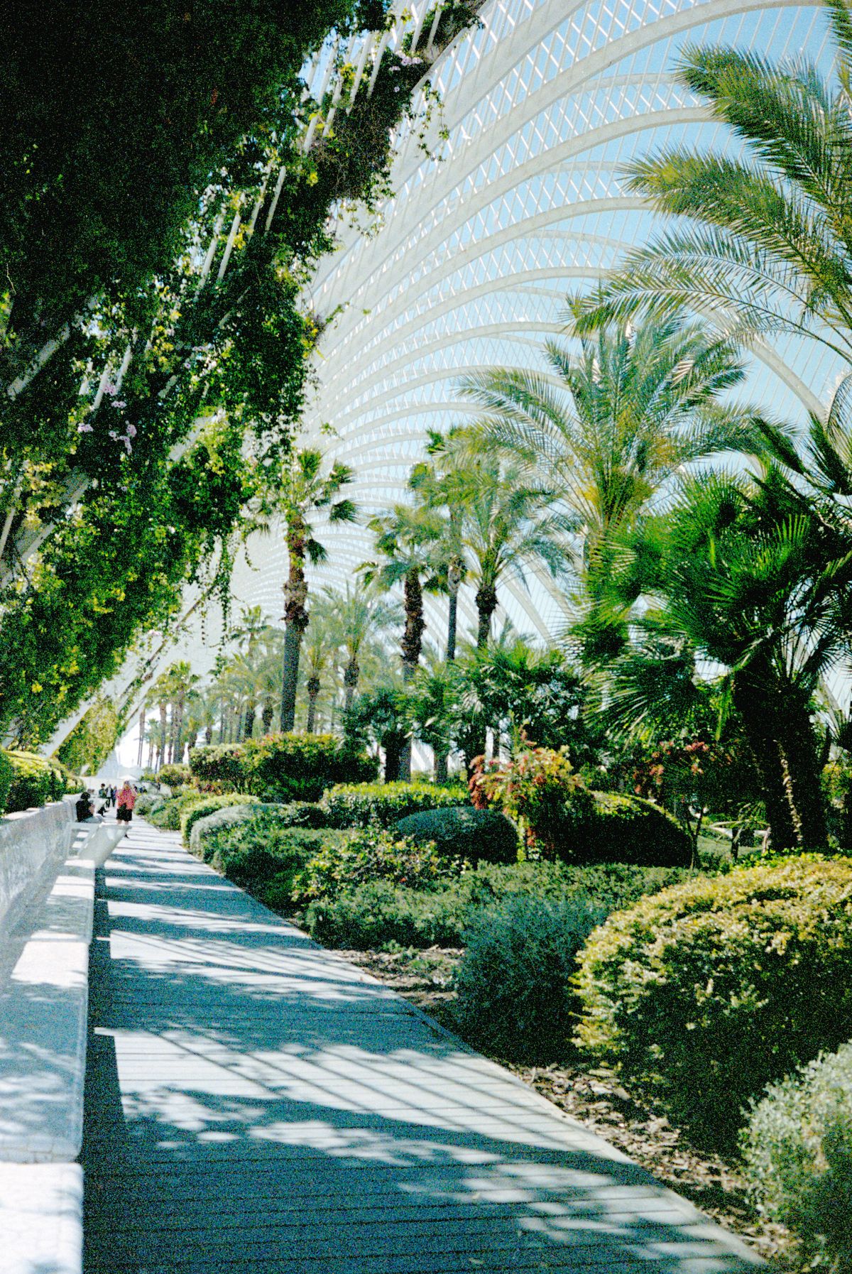 Palau de les arts gardens in Valencia Spain