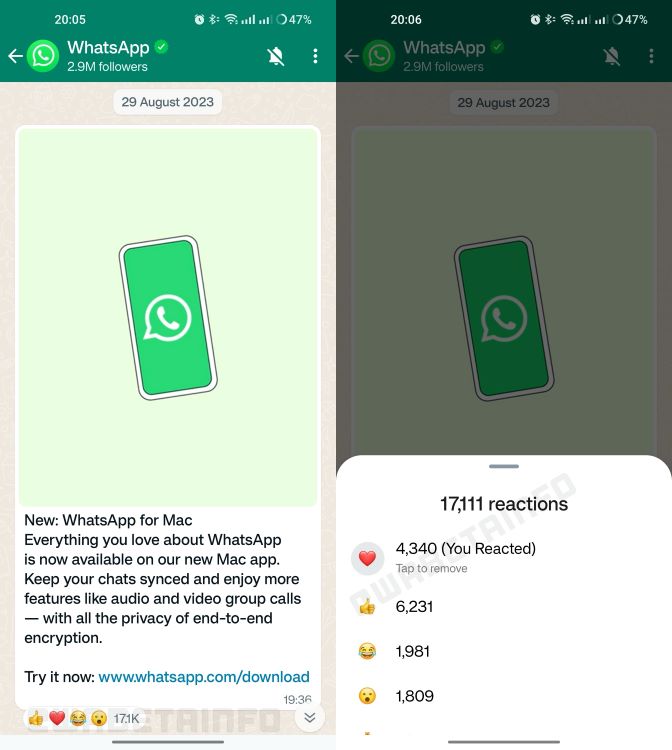 Whatsapp emoji reactions to a Channel update