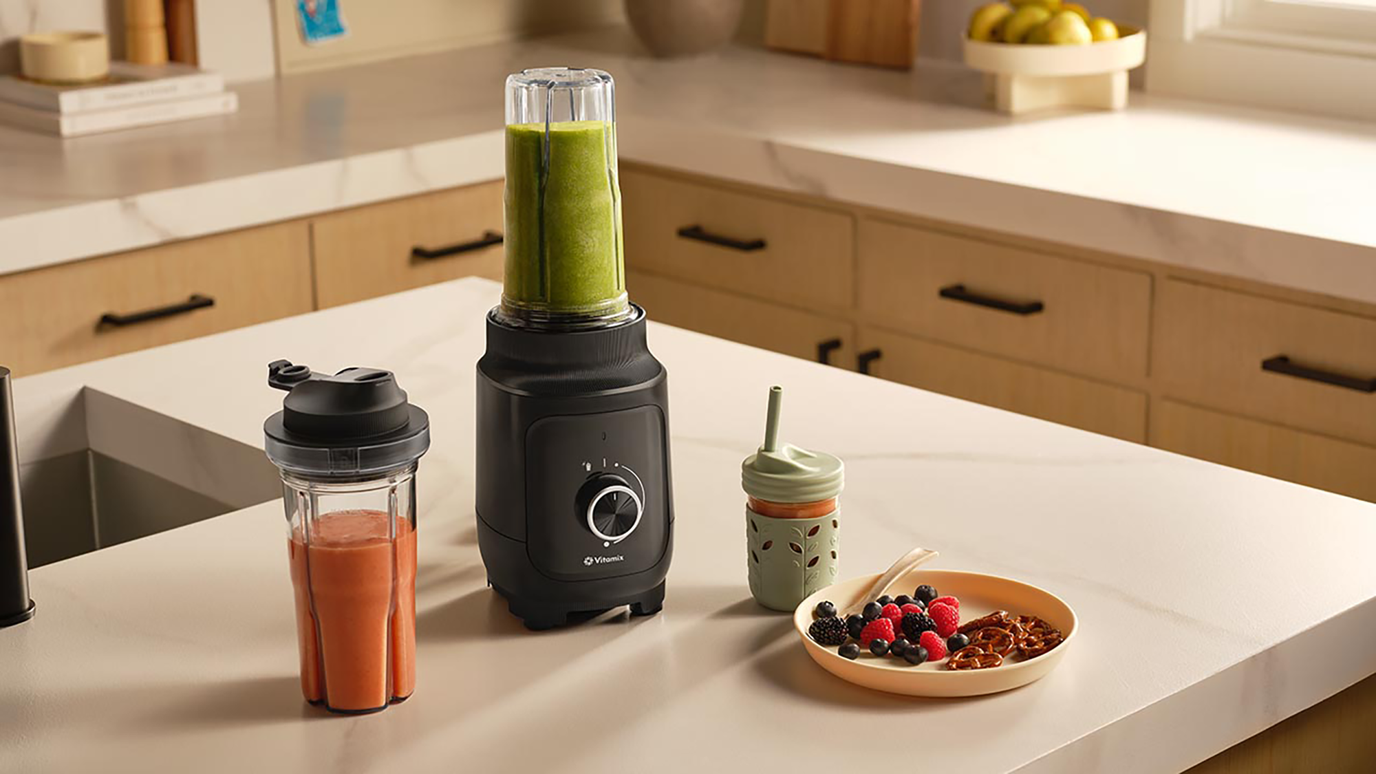 Vitamix Nano