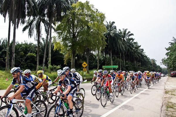 The peloton in action during the opening stage.