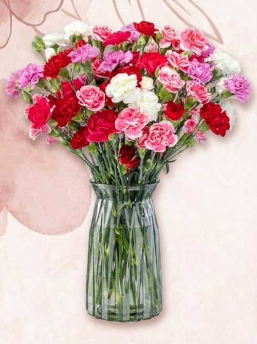 20 Stem Rainbow Mini Carnations (Glass Vase Included)