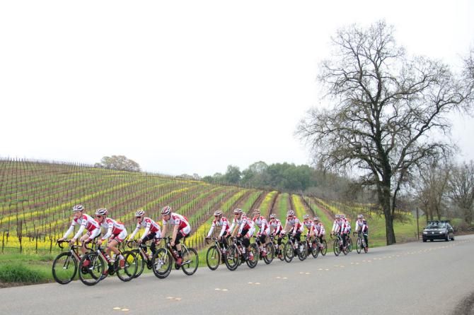Miles and miles of vineyards in spring colors make for a nice ride in wine country.