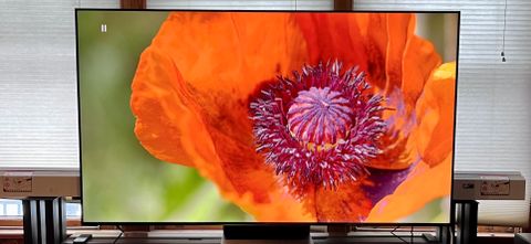 TCL 6-series TV on stand displaying orange flower