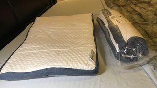 Two Authenticity50 Custom Comfort Pillows, one still rolled in plastic