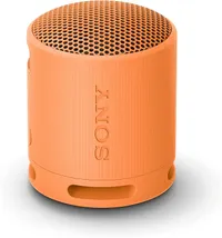 Sony SRS-XB100
