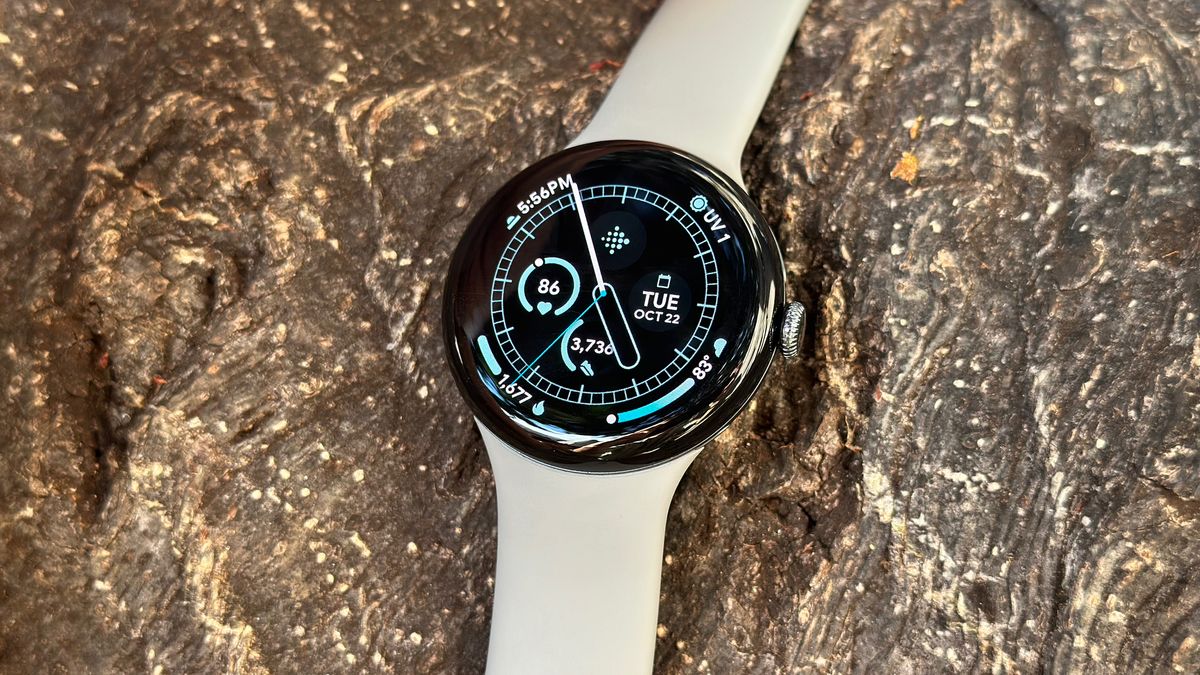 The Google Pixel Watch 3 laying against a tree trunk, showing a data-heavy watch face