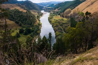 The Whanganui River in New Zealand is now a legal person and can sue over issues like pollution.