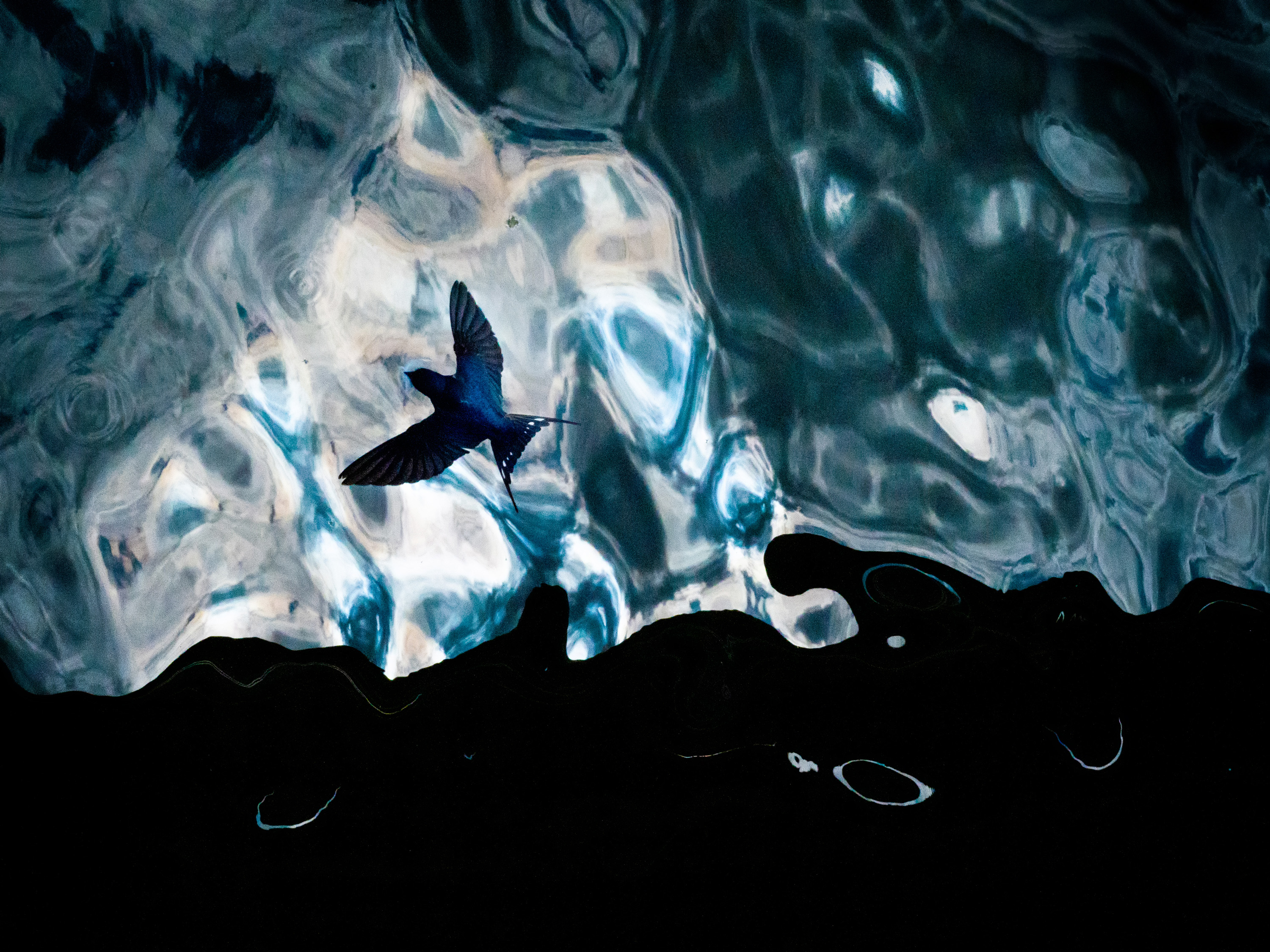 European Wildlife Photographer of the Year 2022