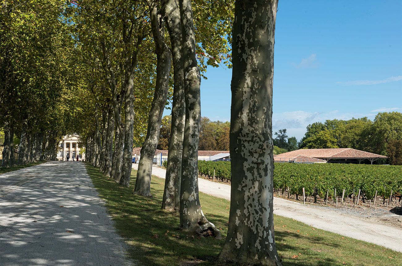 Chateau Margaux