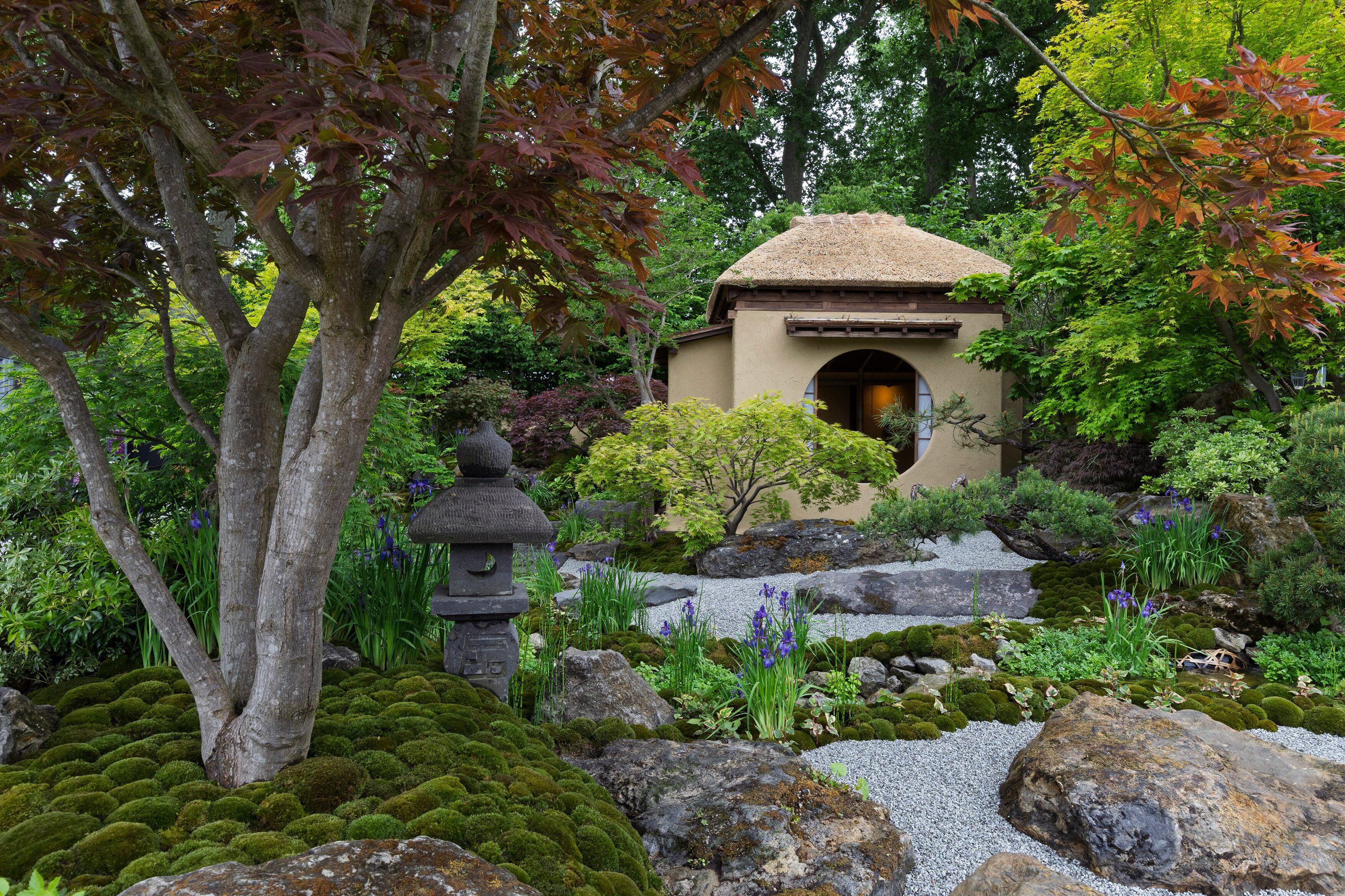 Cha No Niwa – Japanese Tea Garden. Designed by Kazuyuki Ishihara. Show Garden. RHS Chelsea Flower Show 2025