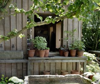 Garden shed with terracotta pots and water tank