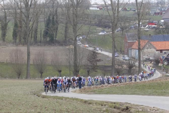 The bunch on the Rekelberg