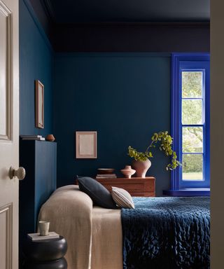 bedroom with dark blue walls