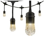 Ecoscapes 36' Strand LED Acrylic Cafe Lights (18 bulbs) by Enbrighten