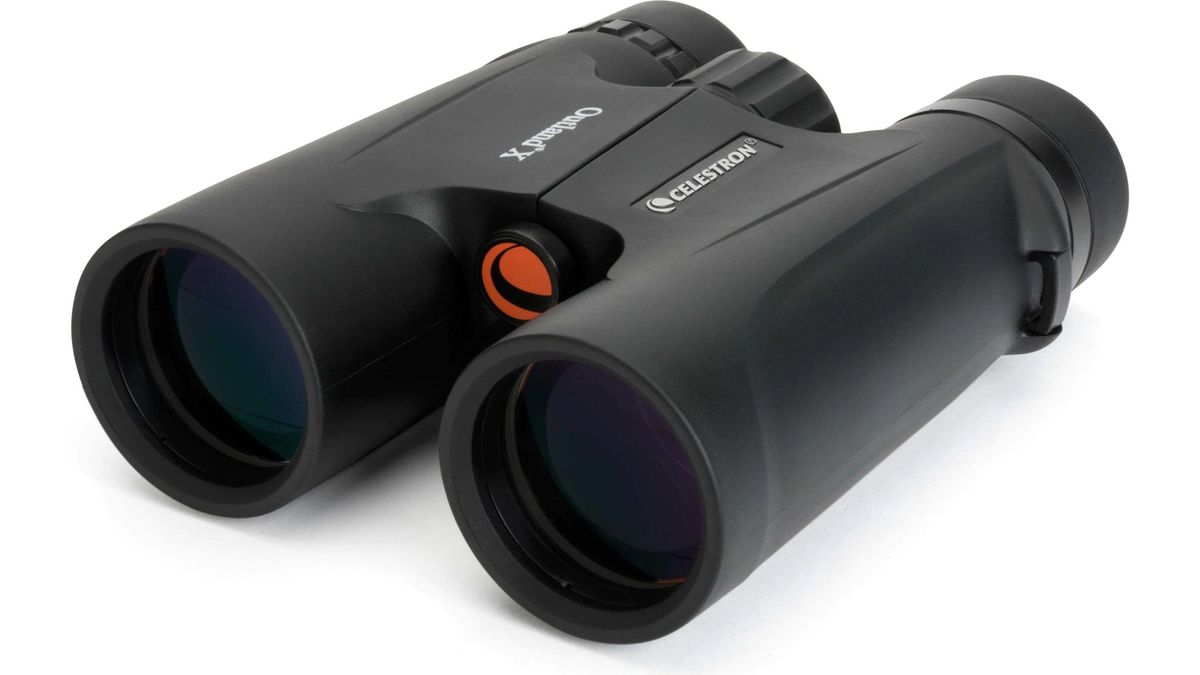 Best value sale 10x42 binoculars