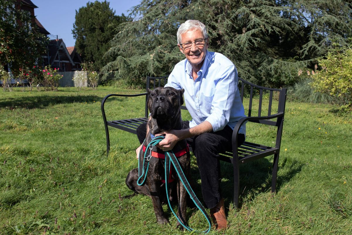 Paul O'Grady: For the Love of Dogs season 11— return date | What to Watch - When Is Paul O'grady For The Love Of Dogs On