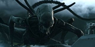 The Xenomorph attacking in Alien: Covenant