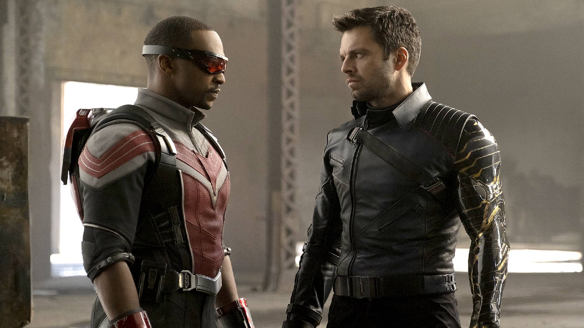 The falcon and the winter soldier