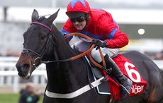 sprinter-sacre.jpg