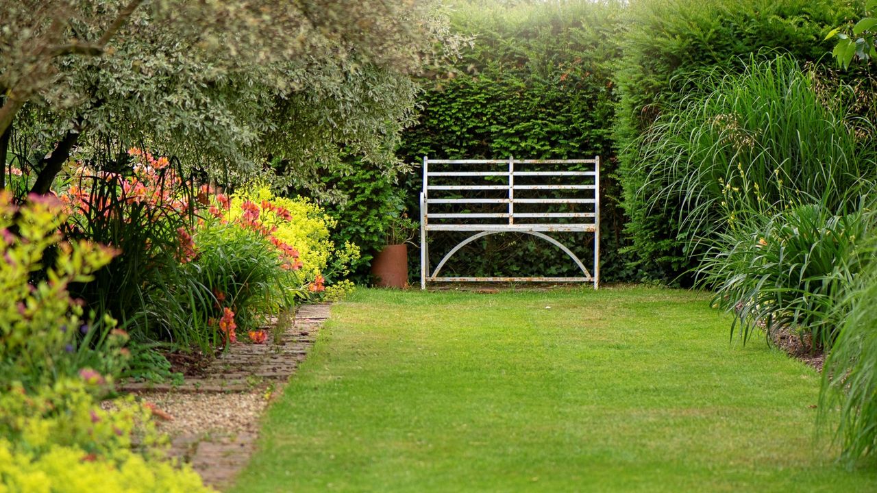 A neatly trimmed green lawn in a backyard