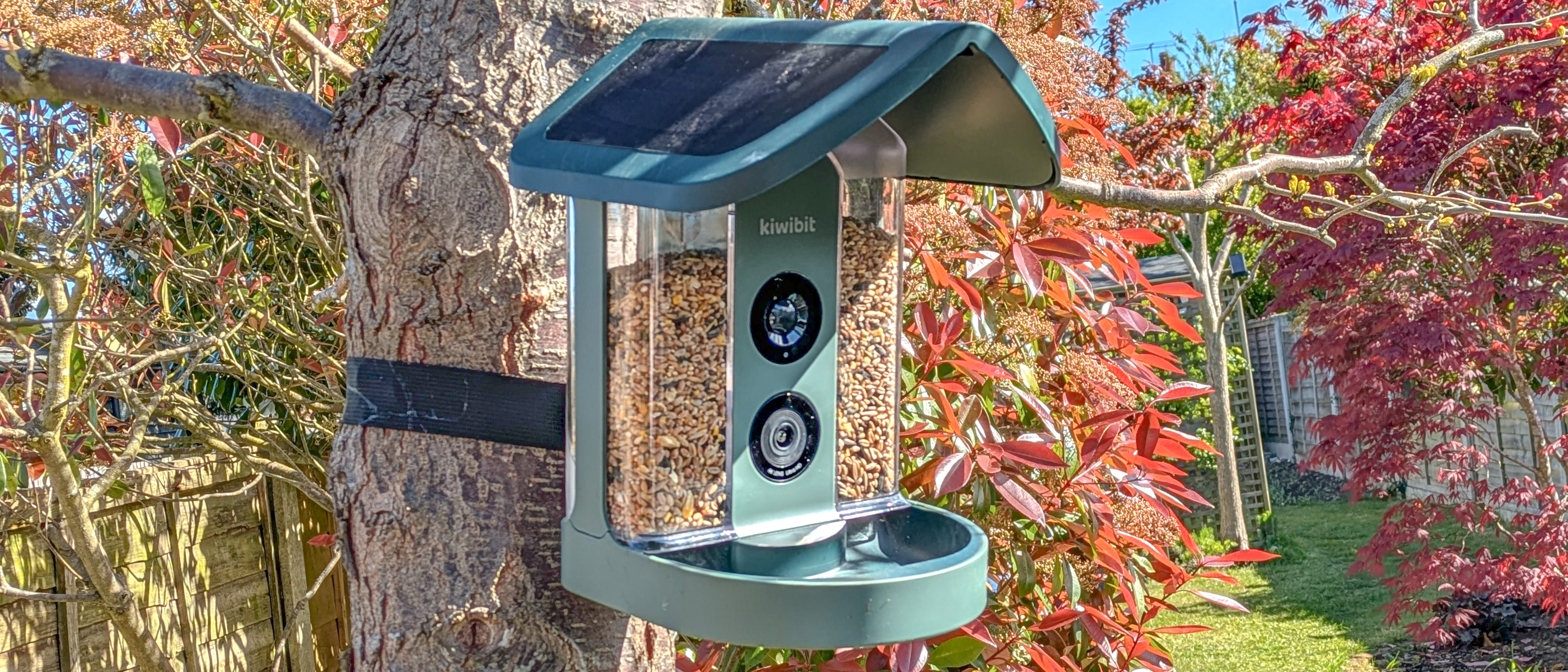 Kiwibit Bird Feeder 2