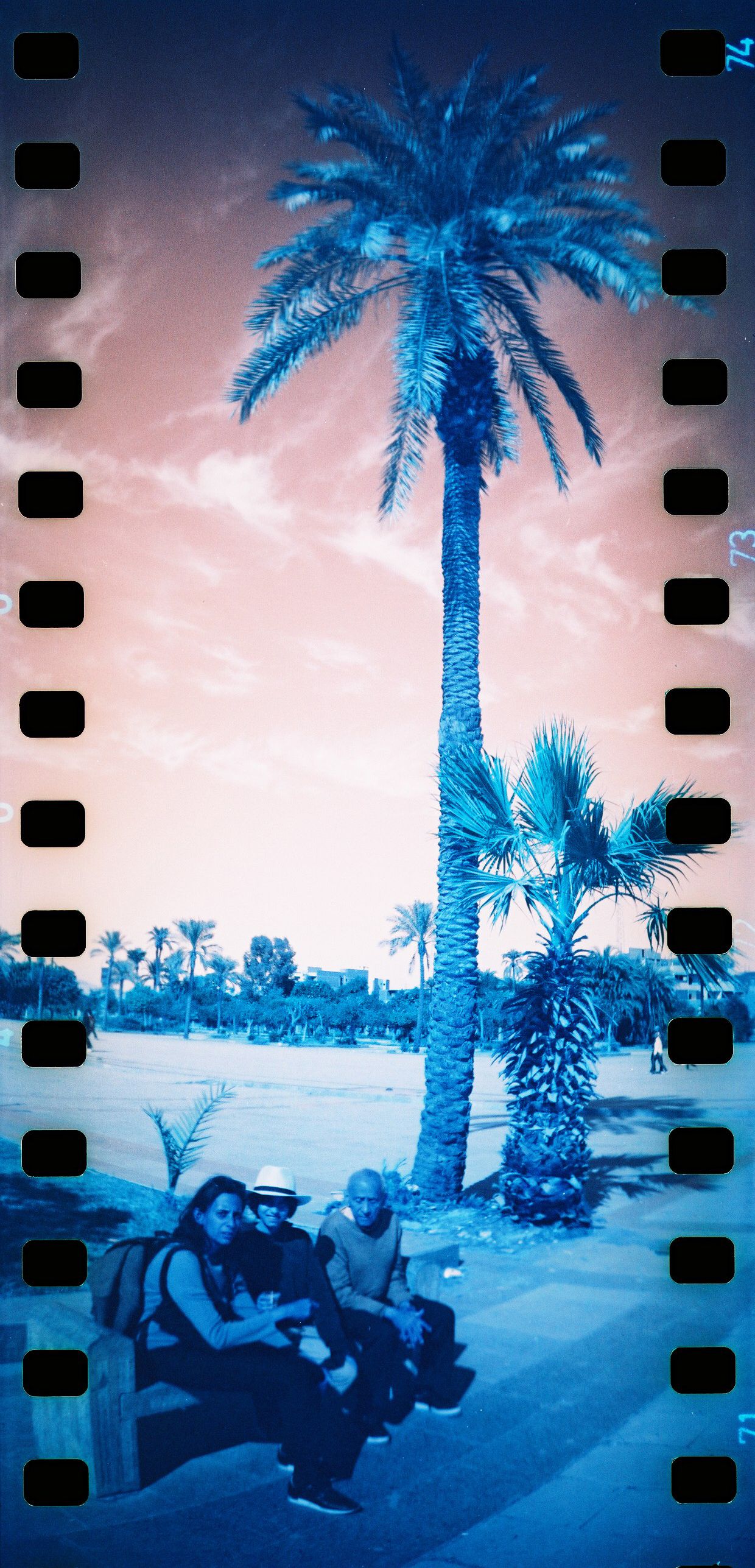 Sprocket Rocket sample photo
