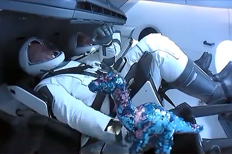 A blue and pink sequined dinosaur floats for the first time on board SpaceX&#039;s Crew Dragon capsule after entering Earth orbit. The doll, chosen by the crew&#039;s sons, served as the zero-g indicator.