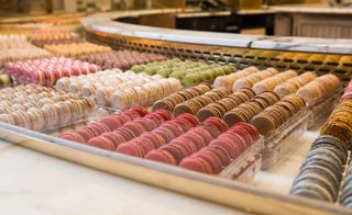 Display of different macaroons in glass cabinet