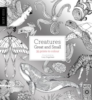 Field Guide: Creatures Great and Small, Lucy Engelman