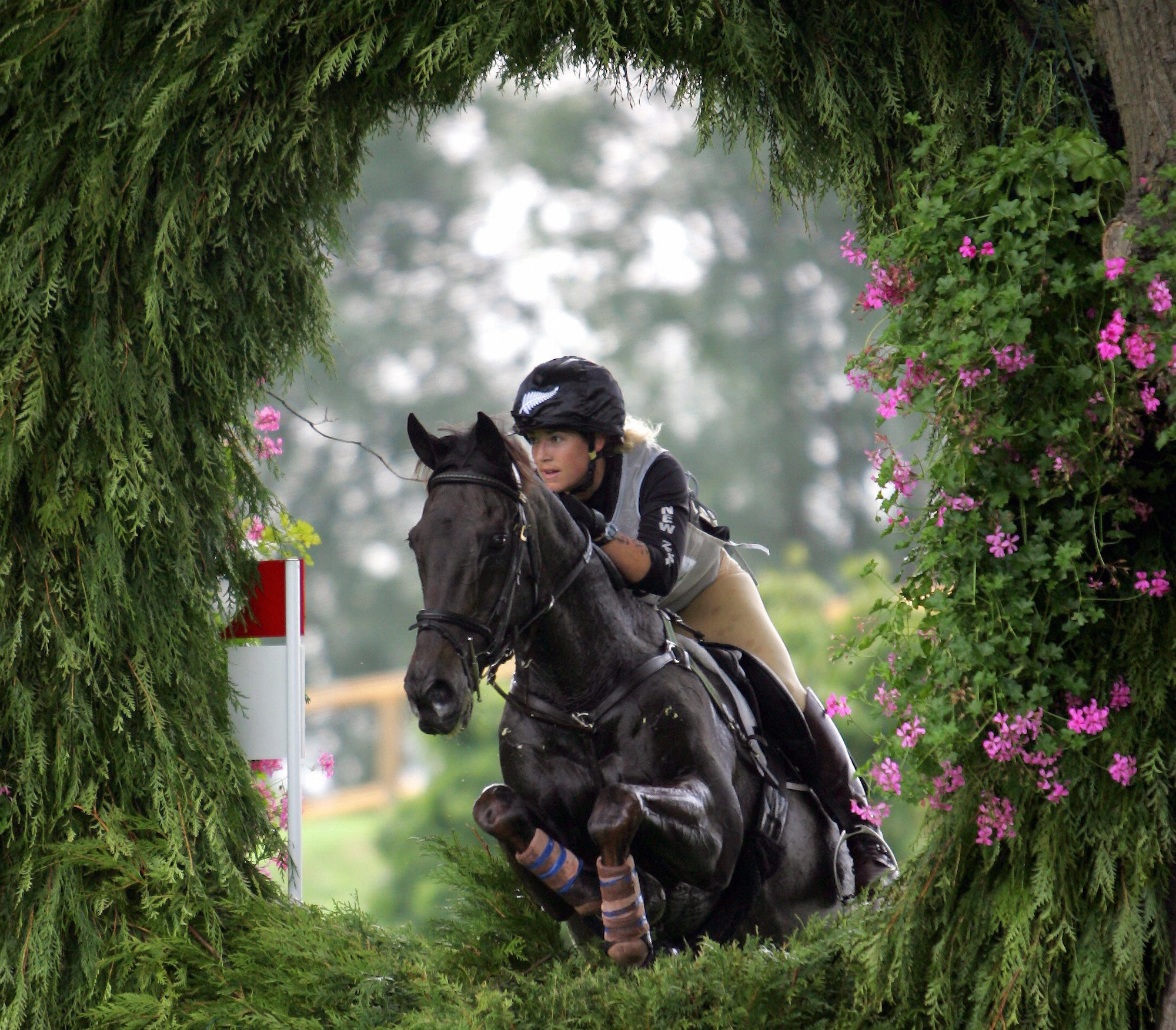 Aachen, GERMANY: New Zealand's rider Heelan Tompkins on &amp;quot;Glengarrick&amp;quot; takes part in the Eventing Cross Country competition of the World Equestrian Games in Aachen 26 August 2006. The games take place until 03 September 2006, involving some 800 riders from 60 countries. AFP PHOTO DDP/JOCHEN LUEBKE GERMANY OUT (Photo credit should read JOCHEN LUEBKE/DDP/AFP via Getty Images)