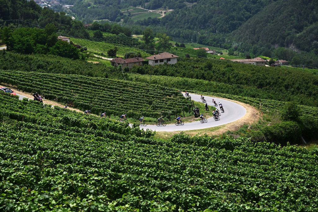 CANELLI ITALY JULY 05 A general view of the peloton passing through a vineyards landscape during the 34th Giro dItalia Donne 2023 Stage 6 a 1044km stage from Canelli to Canelli 315m UCIWWT on July 05 2023 in Canelli Italy Photo by Dario BelingheriGetty Images