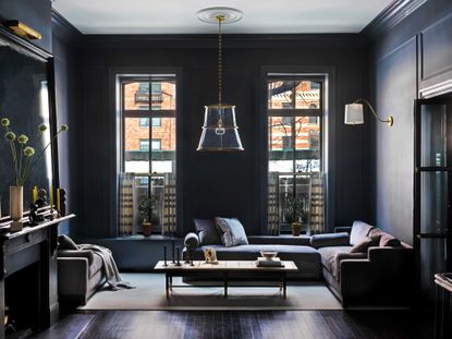 navy living room with white ceiling and ceiling medallion