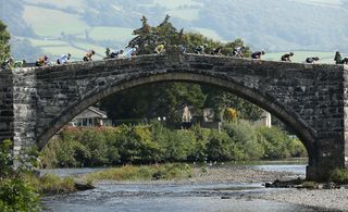 The peloton rides across the Bridge of Pearls during stage two of the Tour of Britain through North Wales.