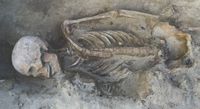 A skeleton of a man lying in the dirt