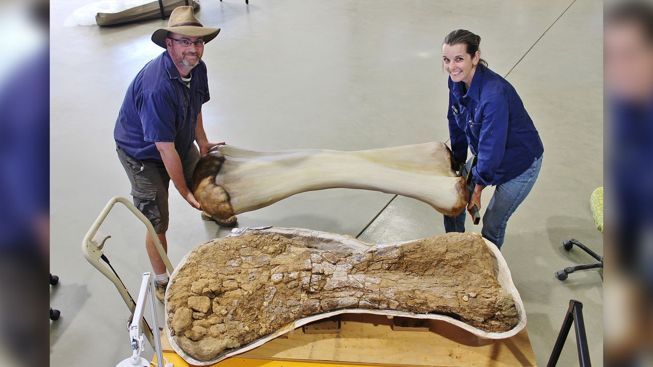 Paleontologist Scott Hocknull and Eromanga Natural History Museum director and paleontologist Robyn Mackenzie hold a 3D reconstruction of Cooper's humerus (upper front leg bone).