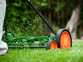 Manual Reel Mower Benefits And How To Use A Reel Mower