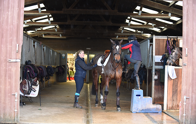 Head girl Fran Callan helps get the horses ready for Trevor to ride in the morning