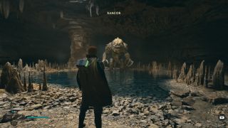 Cal standing in front of emerging Rancor