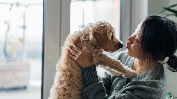 A woman holding up a golden retriever pup and gazing lovingly at him