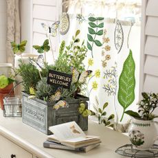 white window with cupboard and potted plants