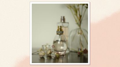 A close up of two glass perfumes bottles with pale purple and pink tinted liquids inside, alongside a glass vase with dried flowers/ in a beige and peach template 