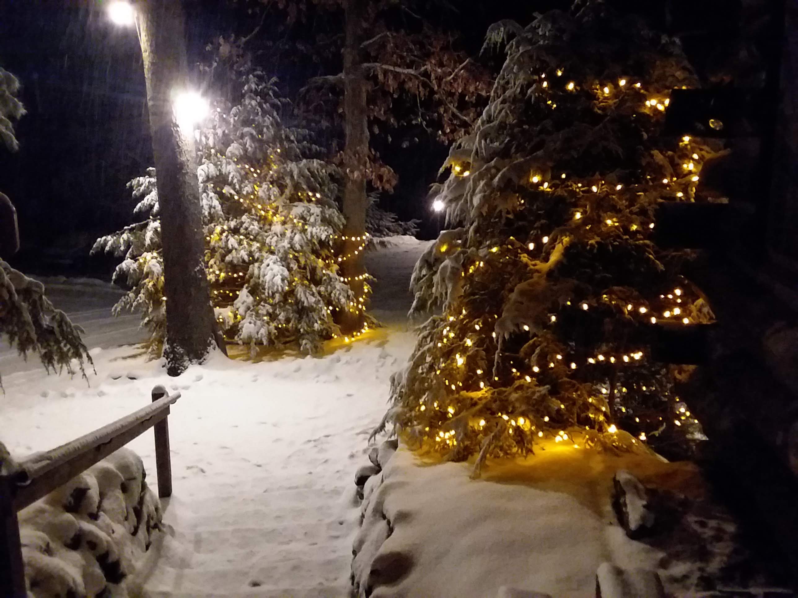 GuruShots - Nature March 2026