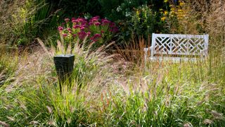 a bench surrounded by grasses with a water feature in a garden