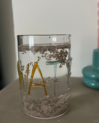 Chia water review: glass of chia water