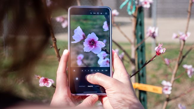 Нужен новый телефон для летних поездок? Вот Android-устройства, на которые стоит обратить внимание в 2026 году