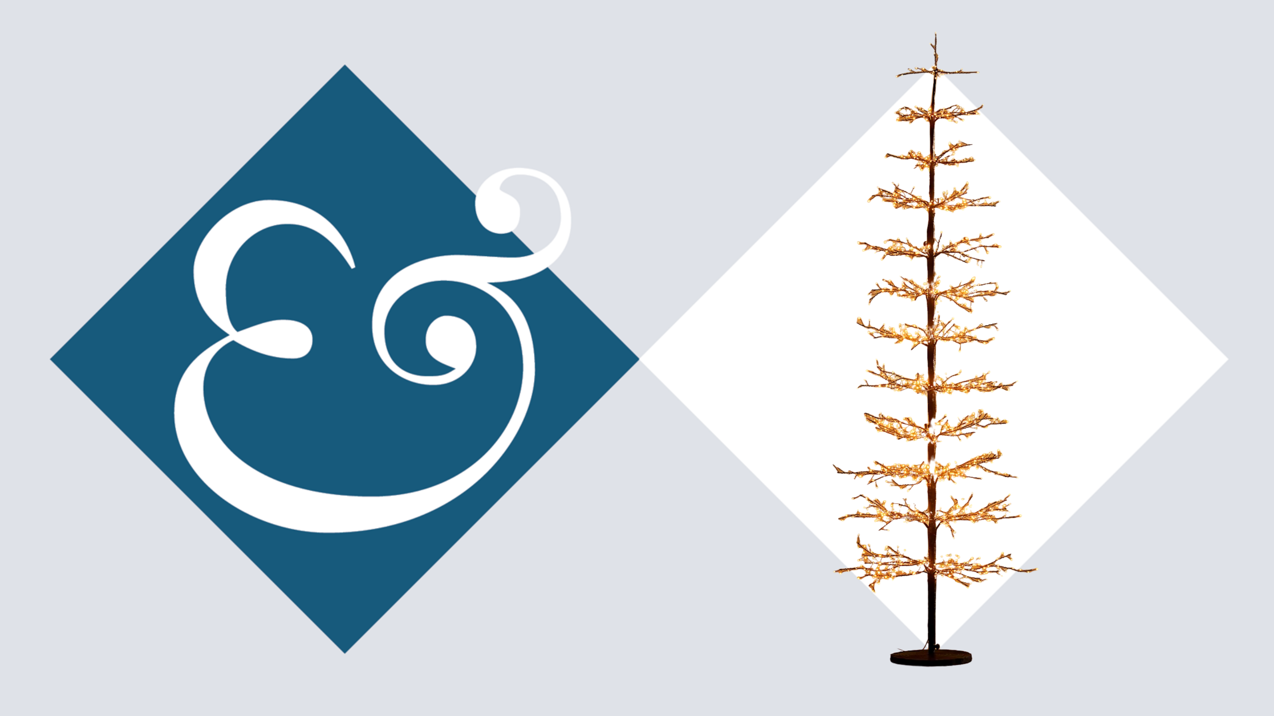 an outdoor Christmas tree