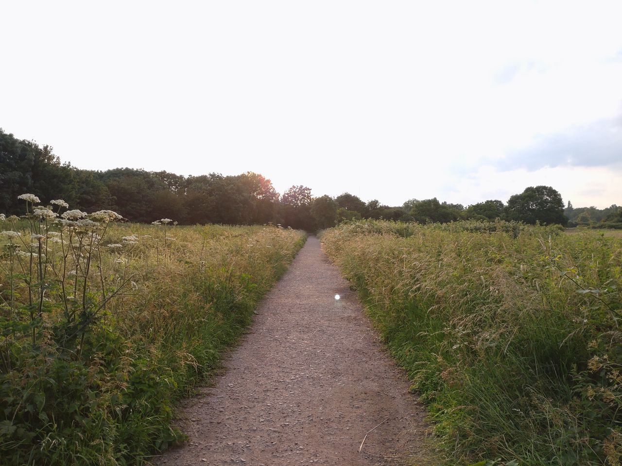 An HDR shot of a field using the Xperia 10 III